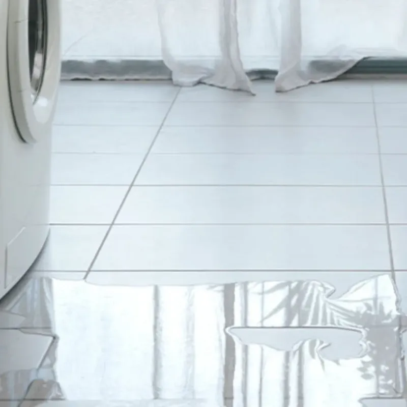Appliance Leak Cleanup in Ray City, GA
