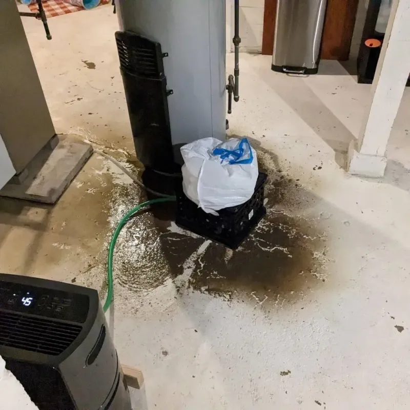Sewage Backup Cleanup Service in Ray City, GA